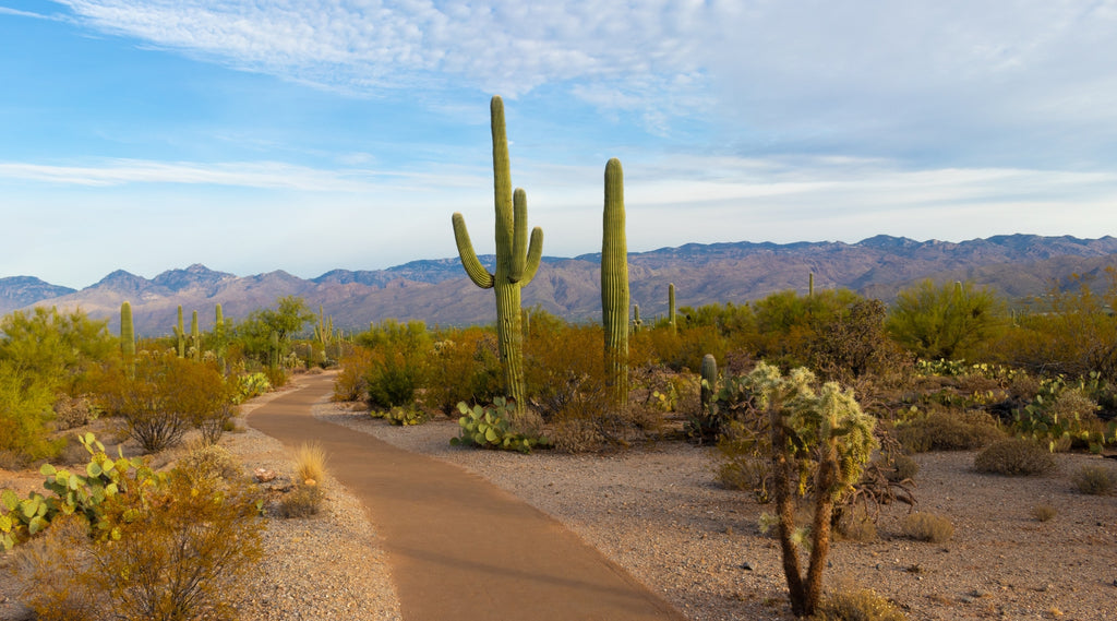 Arizona Commerce Authority - ARIZONA COMMERCE AUTHORITY ANNOUNCES FINALISTS IN THE SPRING 2019 ARIZONA INNOVATION CHALLENGE