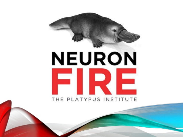 Neuron Fire - The Future of Human Enhancement